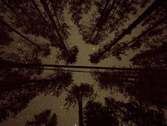 Sky View Solo Tent